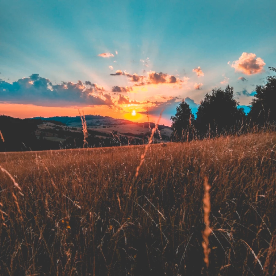 Юрист Абдуллин Ильнур